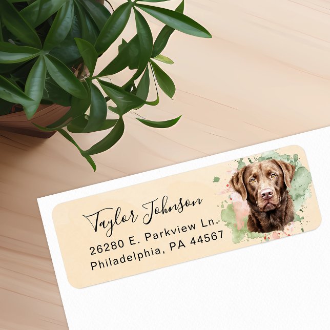 Chocolate Lab Dog Return Address Label (Creator Uploaded)