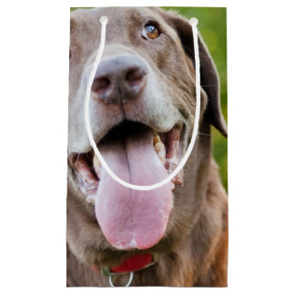 Chocolate Lab Dog Small Gift Bag