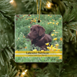 Chocolate Lab Flower Patch Custom Photo Ceramic Tree Decoration
