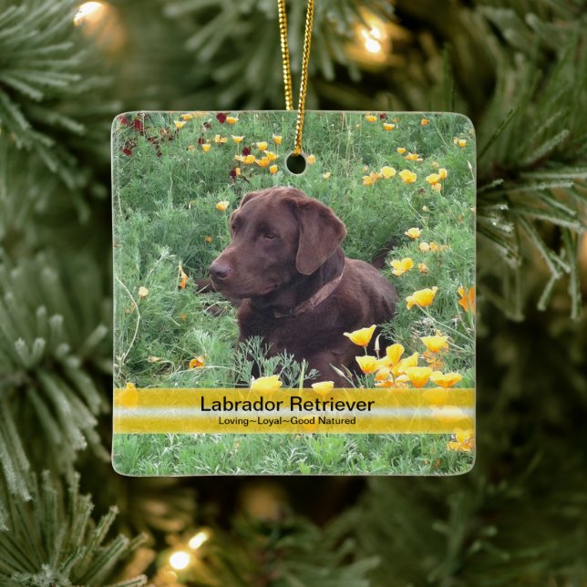 Chocolate Lab Flower Patch Custom Photo Ceramic Tree Decoration (Tree)