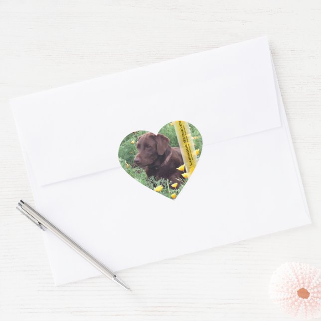 Chocolate Lab in California Poppy Patch Heart Sticker (Envelope)