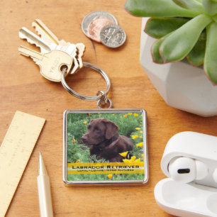 Chocolate Lab in California Poppy Patch Key Ring
