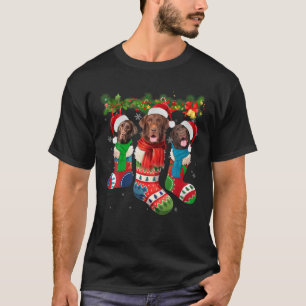 Chocolate Lab In Christmas Socks T-Shirt