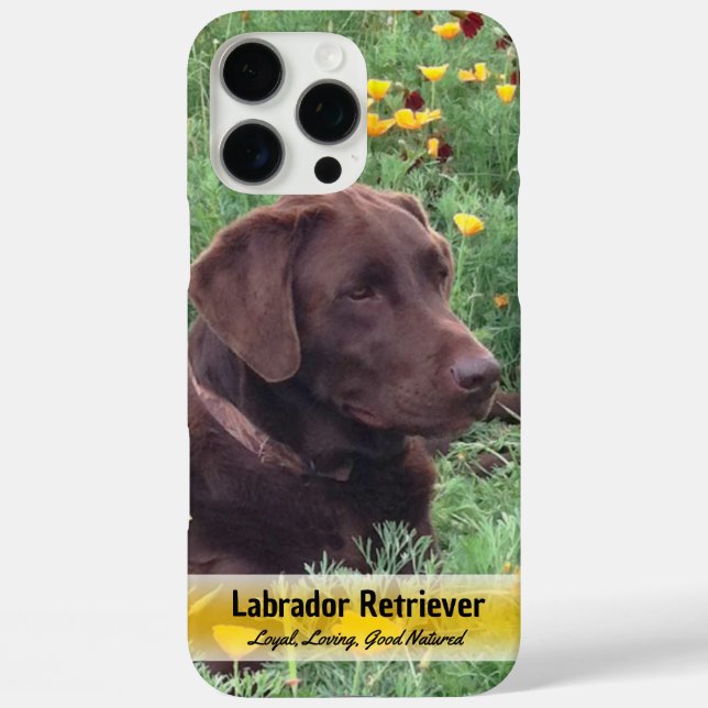Chocolate Lab in Poppy Patch Placeholder Photo Case-Mate iPhone Case (Back)