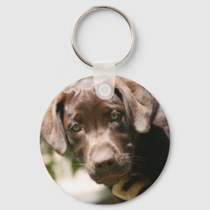 Chocolate Lab Key Ring