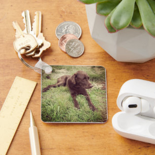 Chocolate Lab Lying In Grass Photograph Key Ring