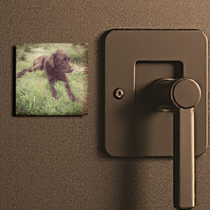 Chocolate Lab Lying In Grass Photograph Magnet
