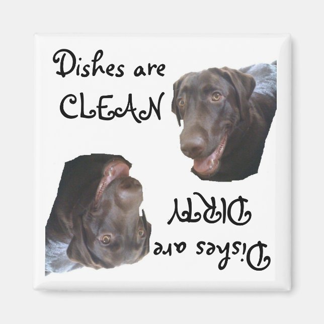Chocolate Lab Magnet (Front)