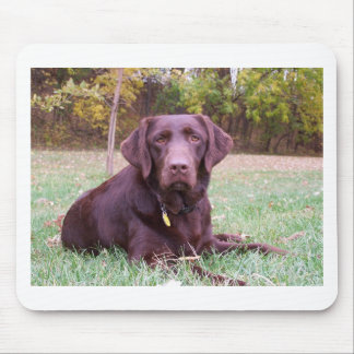 Chocolate Lab Mouse Pad