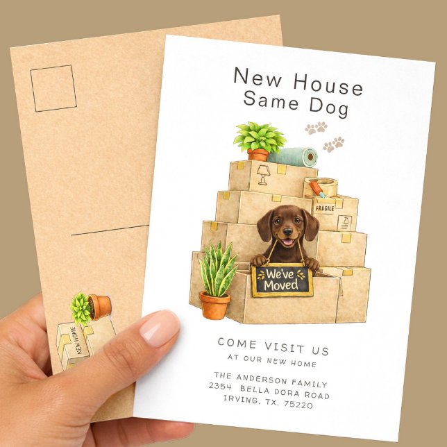 Chocolate Lab New House Moving Announcement Postcard (Creator Uploaded)