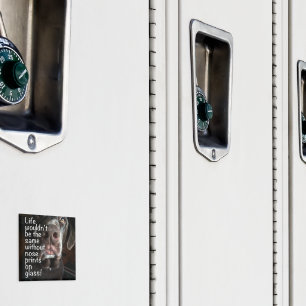 Chocolate Lab Nose Close Up Photograph Magnet