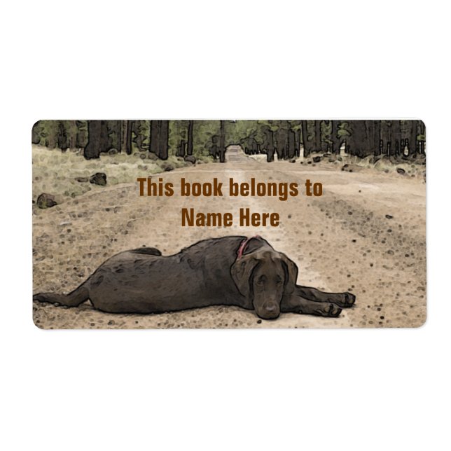 Chocolate Lab On A Forest Trail (Front)