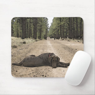 Chocolate Lab On A Forest Trail Mouse Pad
