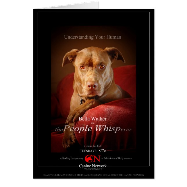 Chocolate Lab Pit Mix Dog Movie Poster (Front)