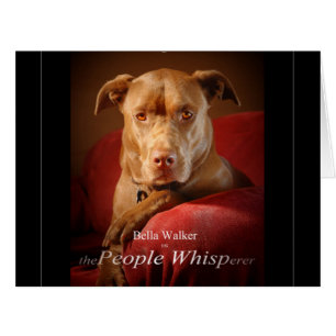 Chocolate Lab Pit Mix Dog Movie Poster