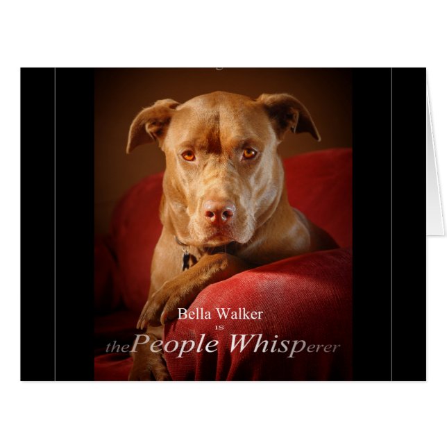 Chocolate Lab Pit Mix Dog Movie Poster (Front Horizontal)