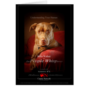 Chocolate Lab Pit Mix Dog Movie Poster