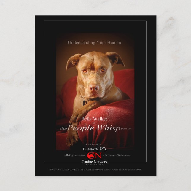 Chocolate Lab Pit Mix Dog Movie Poster Postcard (Front)