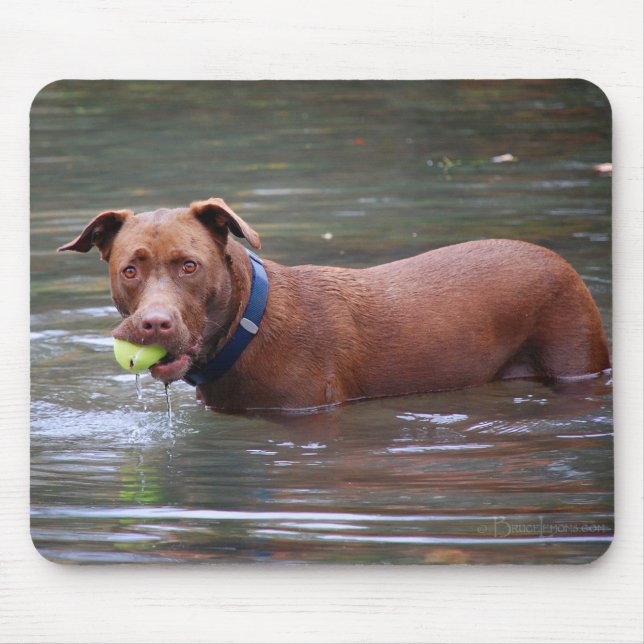 Chocolate Lab Pit Mix Dog With Ball Mouse Pad (Front)