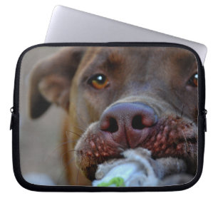 Chocolate Lab Pit Puppy Tugging Laptop Sleeve