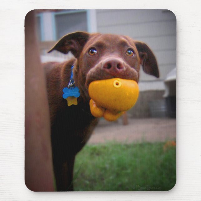 Chocolate Lab Pit Puppy with Ball Mouse Pad (Front)