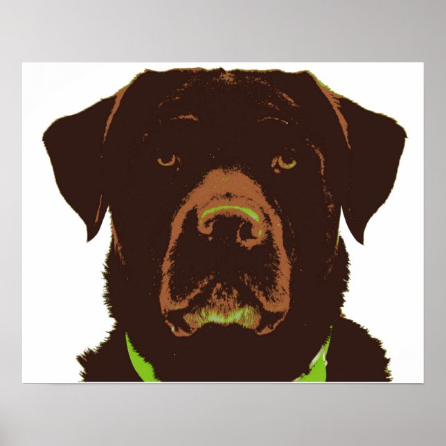 Chocolate Lab Poster (Front)