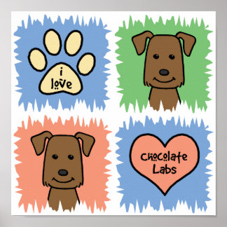 Chocolate Lab Poster