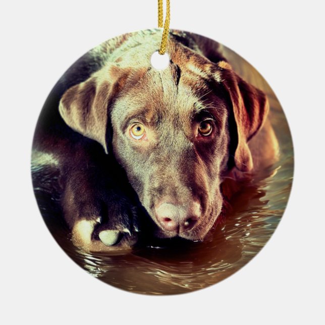 Chocolate Lab Puppy Ceramic Tree Decoration (Front)