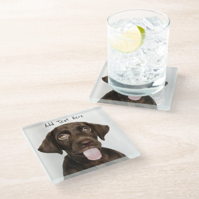 Chocolate Lab Puppy Glass Coaster (Angled)