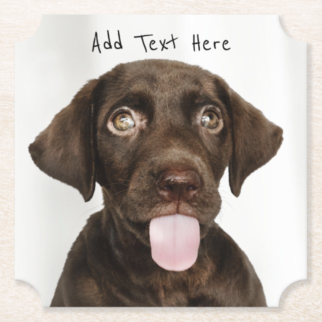 Chocolate Lab Puppy Paper Coaster (Front)