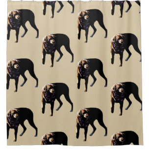 Chocolate Lab Shower Curtain