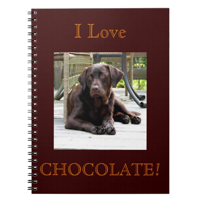 Chocolate Lab Spiral Notebook (Front)