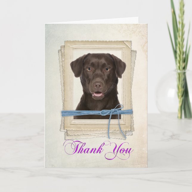 Chocolate Lab Thank You Card (Front)