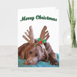 Chocolate Lab Wearing Antlers Photograph Custom Holiday Card