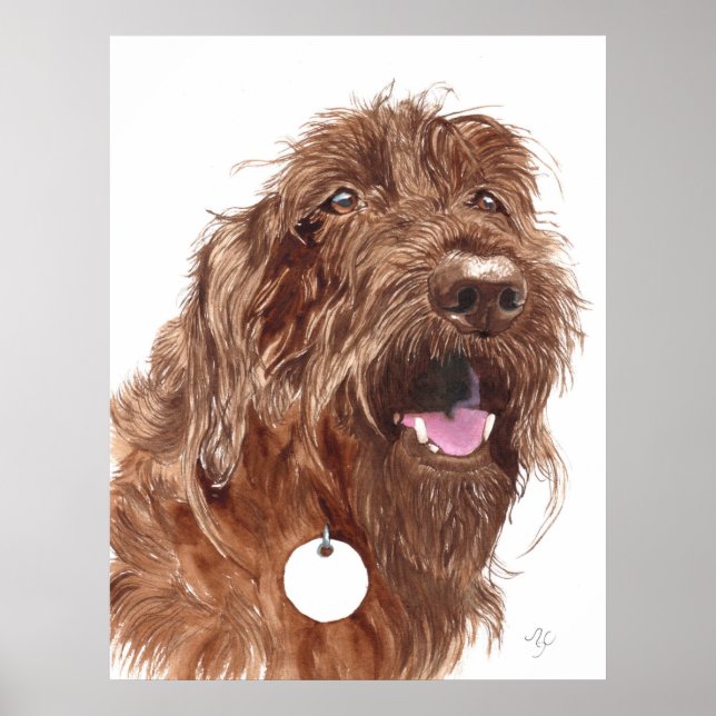 Chocolate Labradoodle #1 Canvas print (Front)