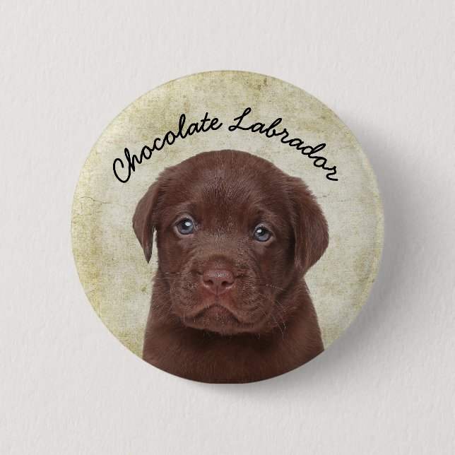 Chocolate Labrador 6 Cm Round Badge (Front)
