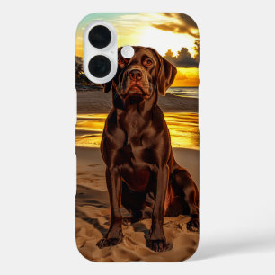 Chocolate Labrador at Sunset iPhone 16 Case