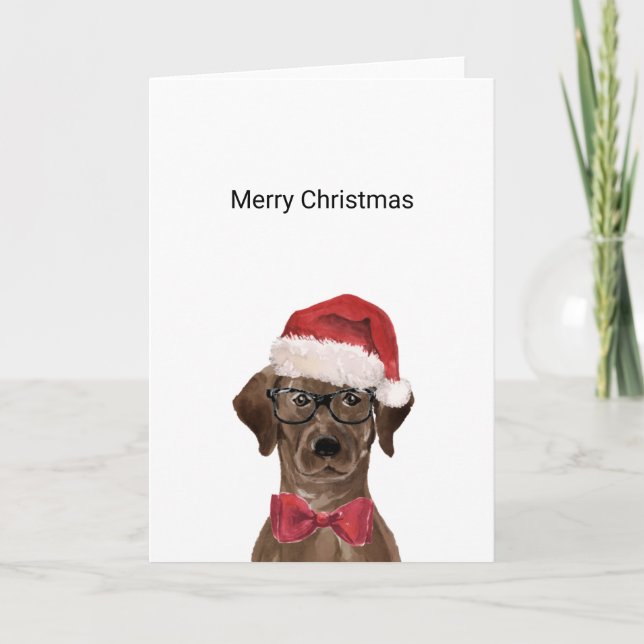 Chocolate Labrador Christmas Card (Front)