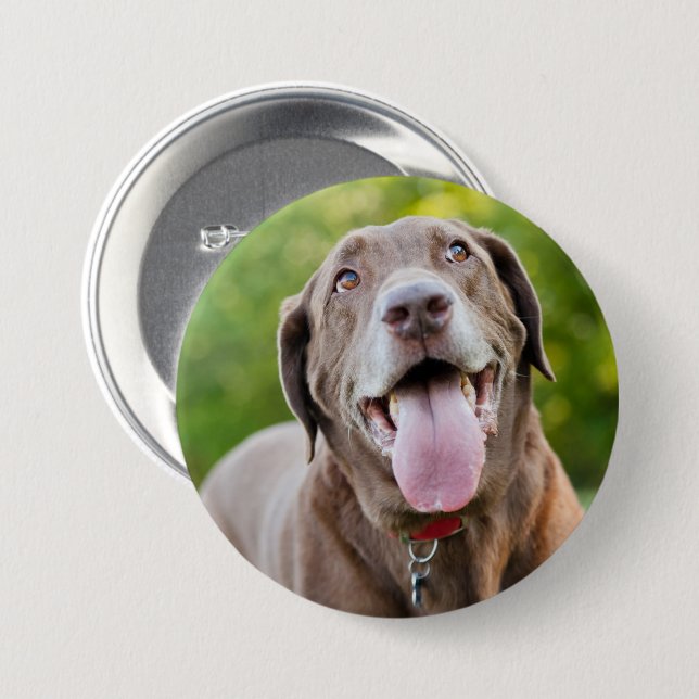 Chocolate Labrador Dog 7.5 Cm Round Badge (Front & Back)