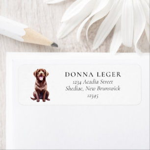 Chocolate Labrador Dog Address