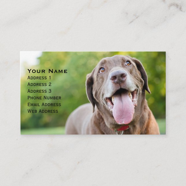 Chocolate Labrador Dog Business Card (Front)