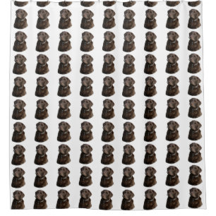 Chocolate Labrador dog pattern Shower Curtain