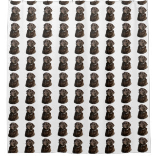 Chocolate Labrador dog pattern Shower Curtain