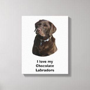 Chocolate Labrador dog photo portrait Canvas Print