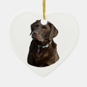 Chocolate Labrador dog photo portrait Ceramic Tree Decoration