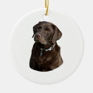 Chocolate Labrador dog photo portrait Ceramic Tree Decoration