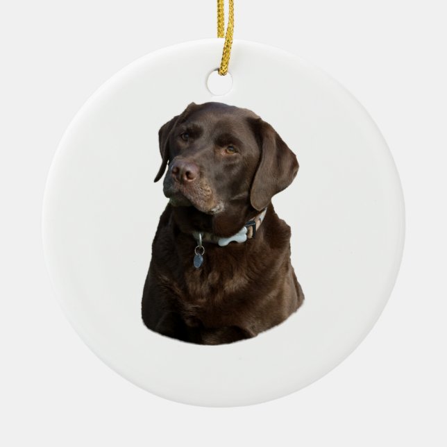 Chocolate Labrador dog photo portrait Ceramic Tree Decoration (Front)