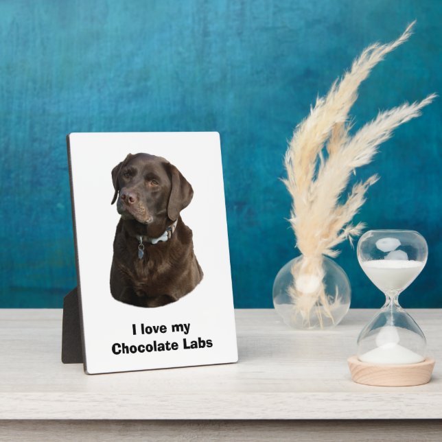 Chocolate Labrador dog photo portrait Plaque (Side)