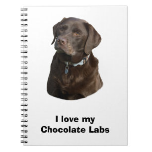 Chocolate Labrador dog photo portrait Spiral Notebook