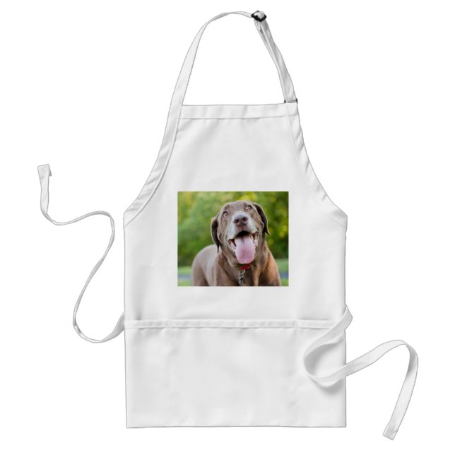 Chocolate Labrador Dog Standard Apron (Front)